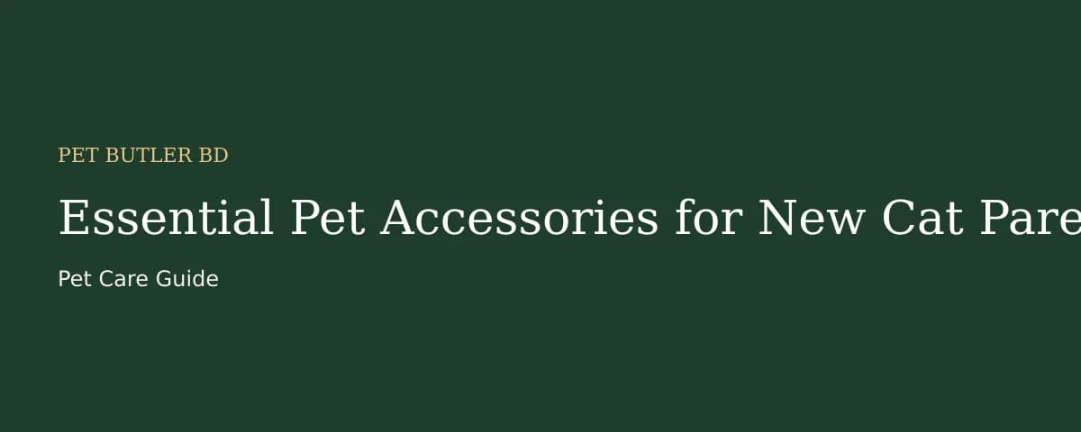 Essential Pet Accessories for New Cat Parents