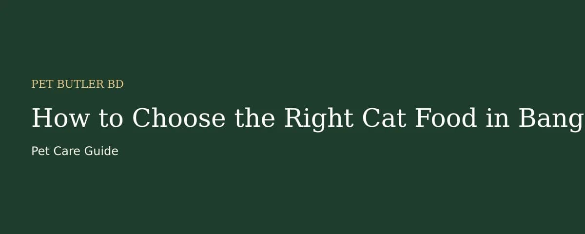 How to Choose the Right Cat Food in Bangladesh