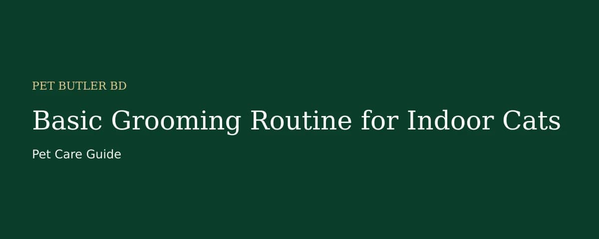 Basic Grooming Routine for Indoor Cats