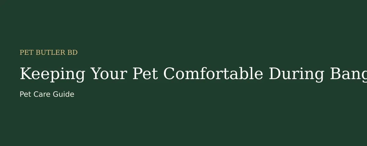 Keeping Your Pet Comfortable During Bangladesh's Hot Weather