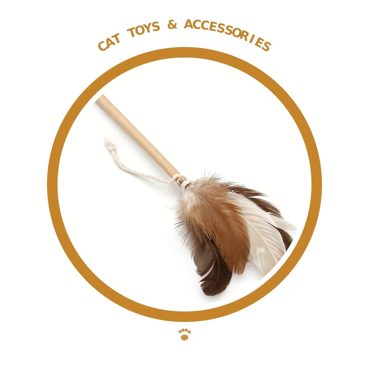Cat Toys & Accessories