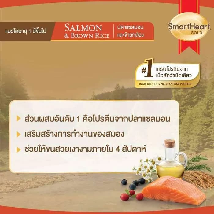 SmartHeart Gold Salmon and Brown Rice