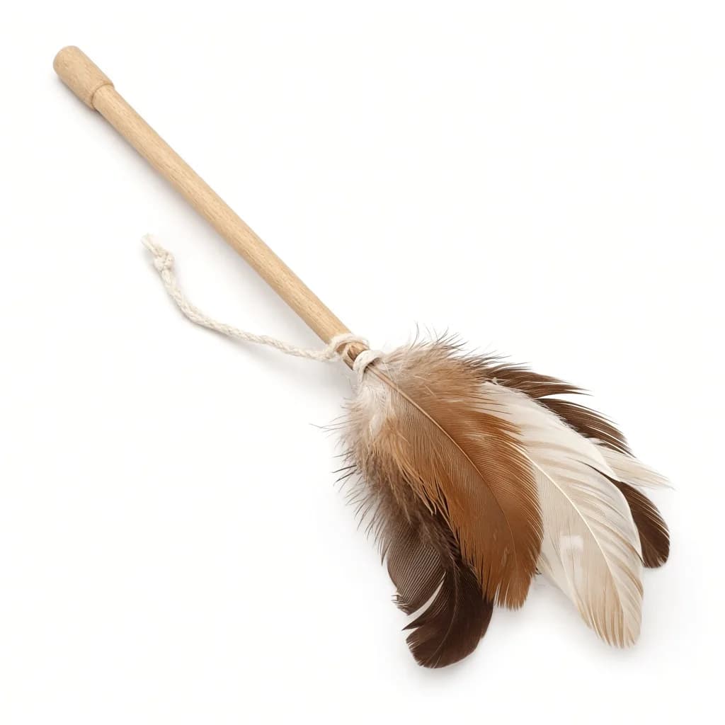 Butler Feather Wand